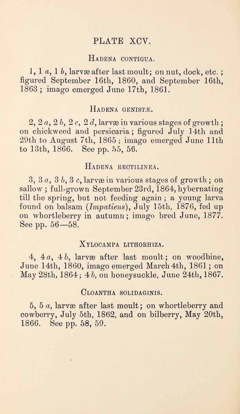 Buckler W The larvæ of the British butterflies and moths PlateXCVText
