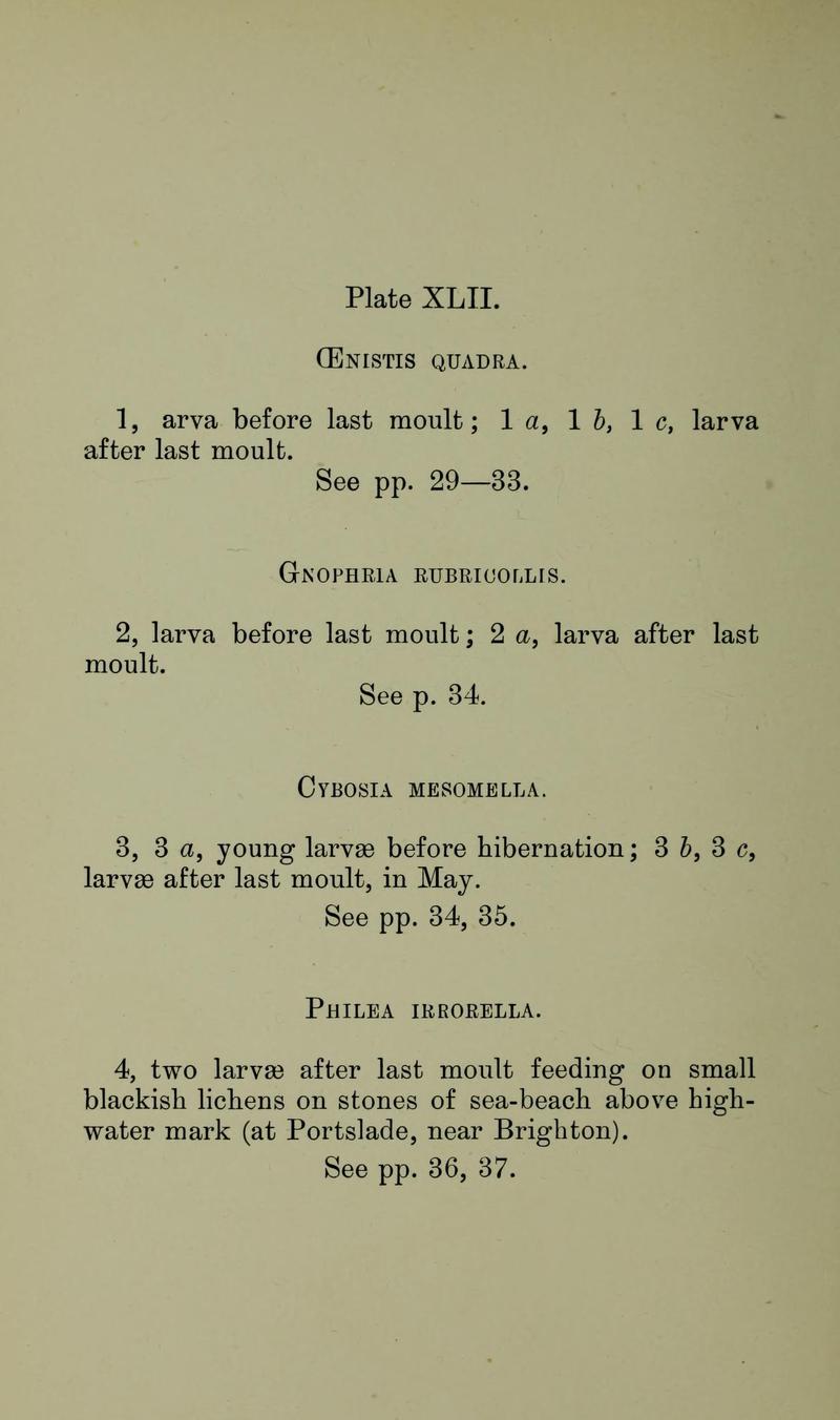 Buckler W The larvæ of the British butterflies and moths PlateXLIIText