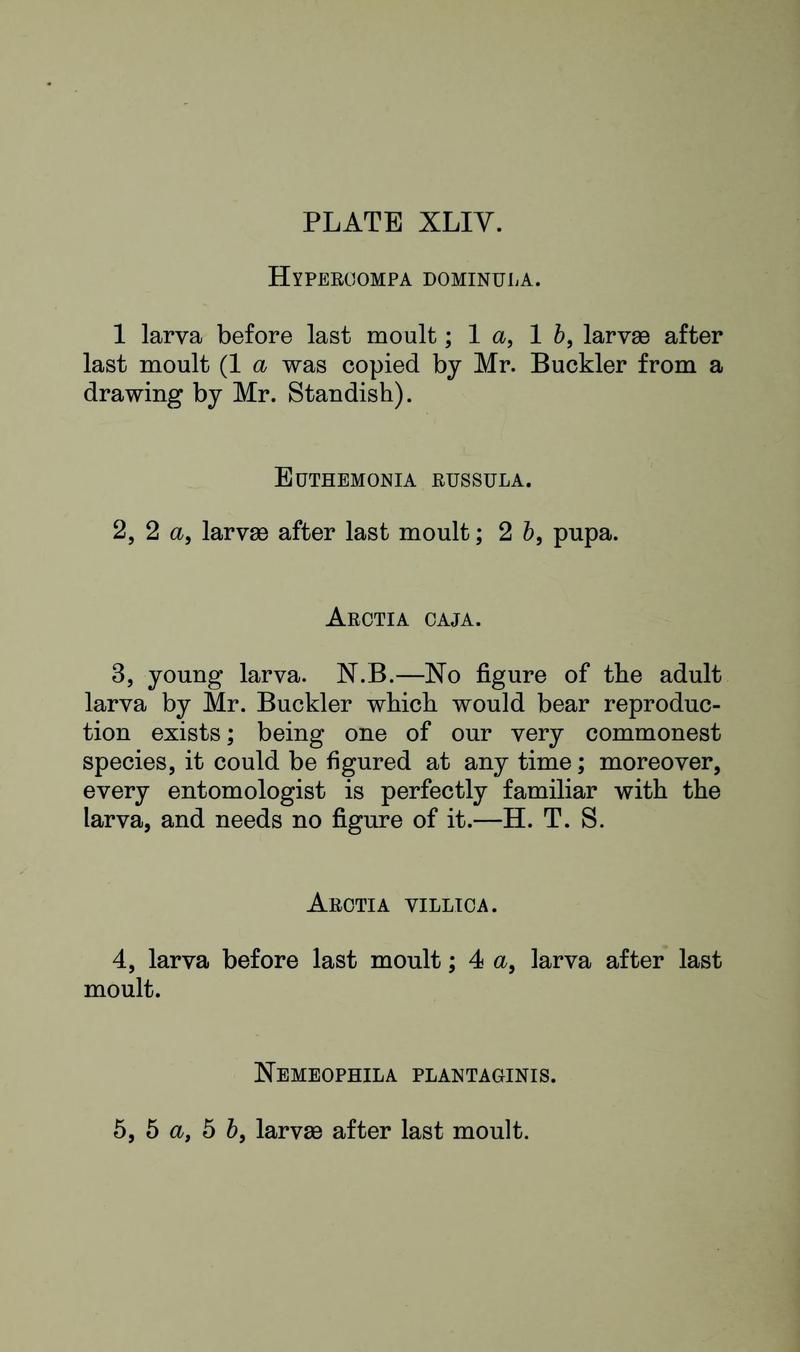 Buckler W The larvæ of the British butterflies and moths PlateXLIVText