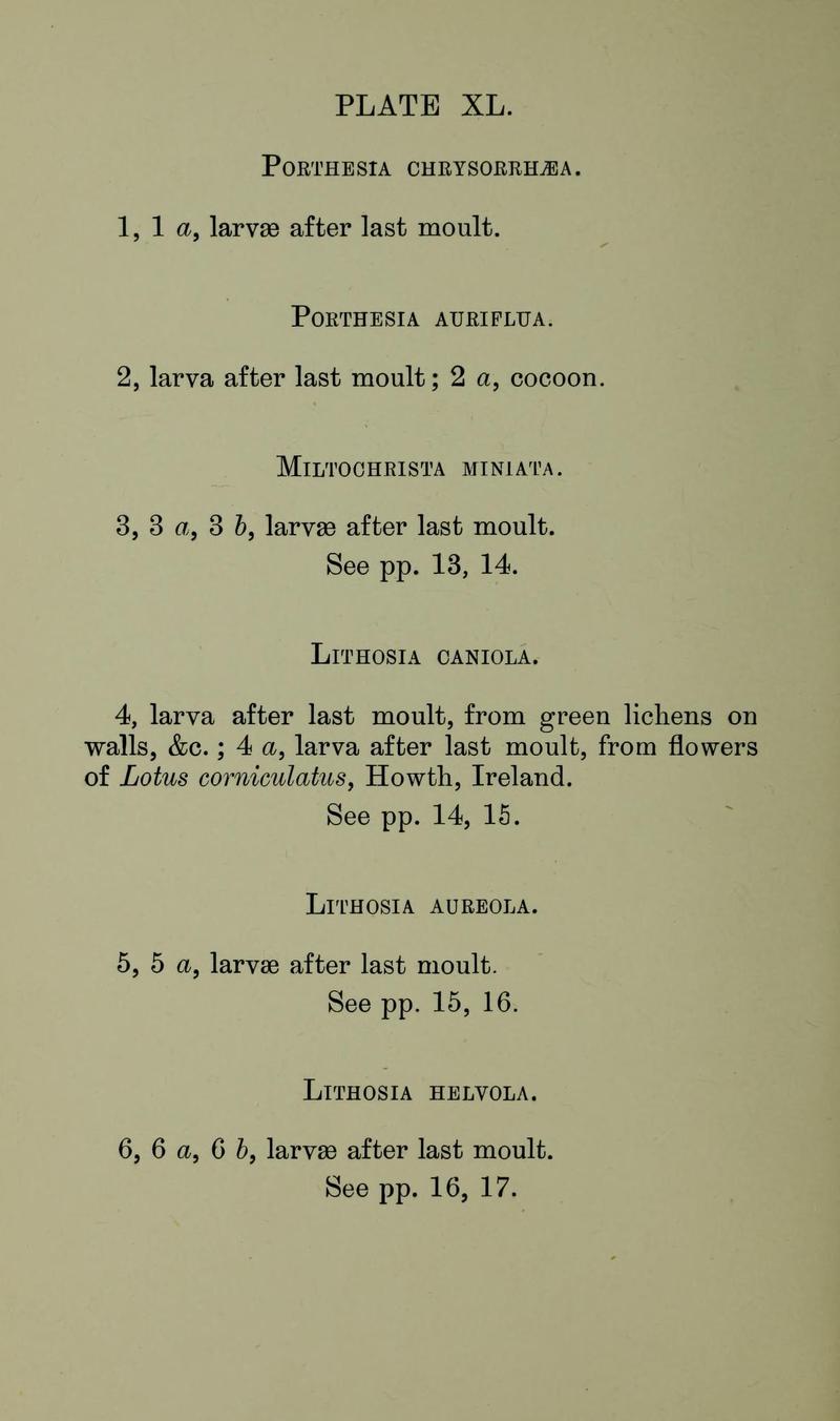 Buckler W The larvæ of the British butterflies and moths PlateXLText
