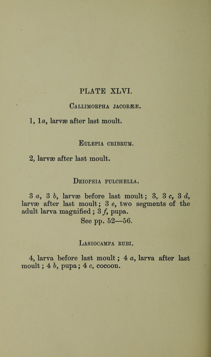 Buckler W The larvæ of the British butterflies and moths PlateXLVIText