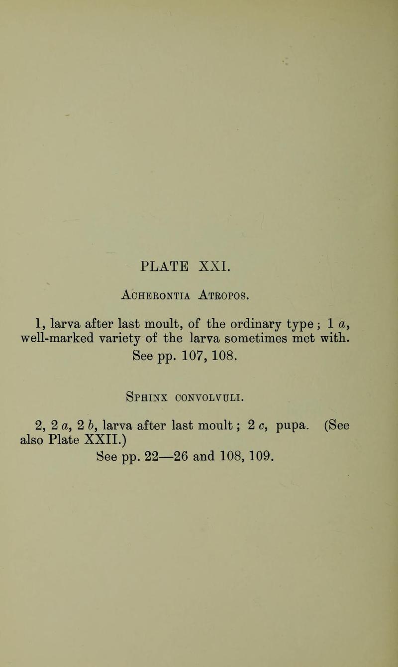 Buckler W The larvæ of the British butterflies and moths PlateXXIText