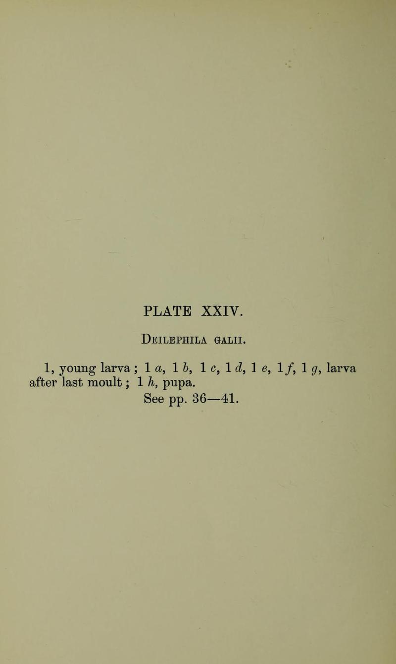 Buckler W The larvæ of the British butterflies and moths PlateXXIVText