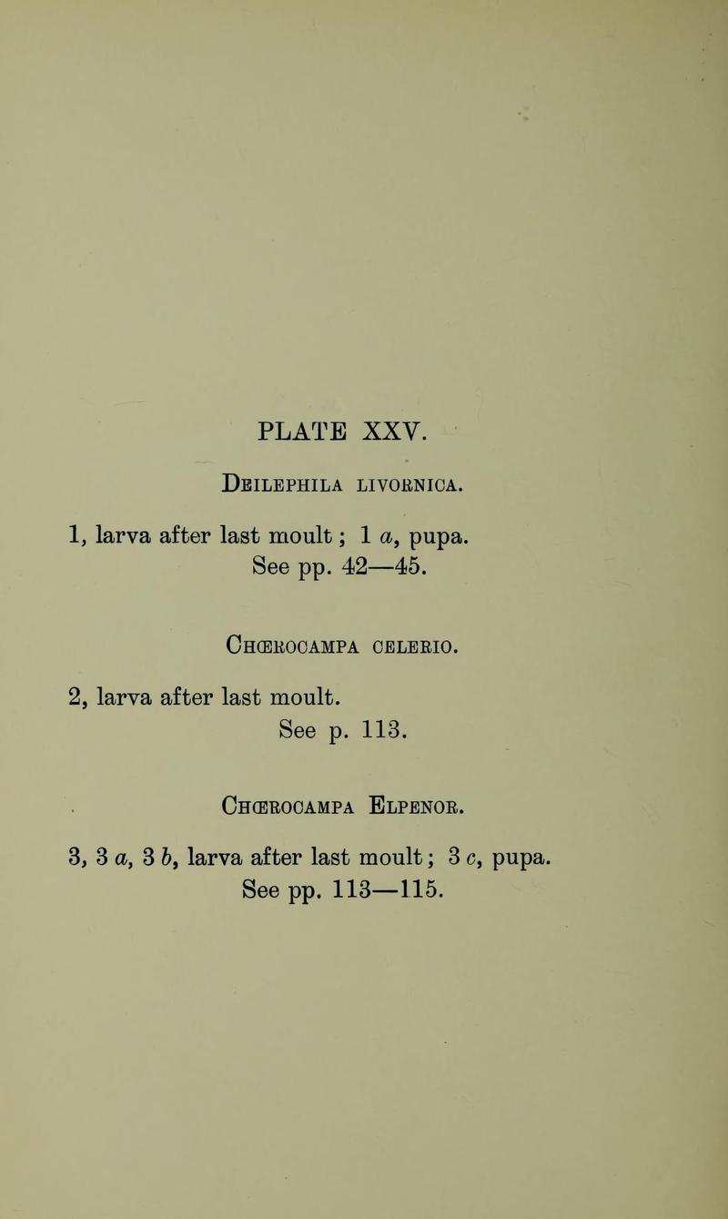 Buckler W The larvæ of the British butterflies and moths PlateXXVText
