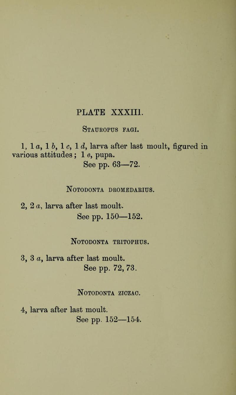 Buckler W The larvæ of the British butterflies and moths PlateXXXIIIText