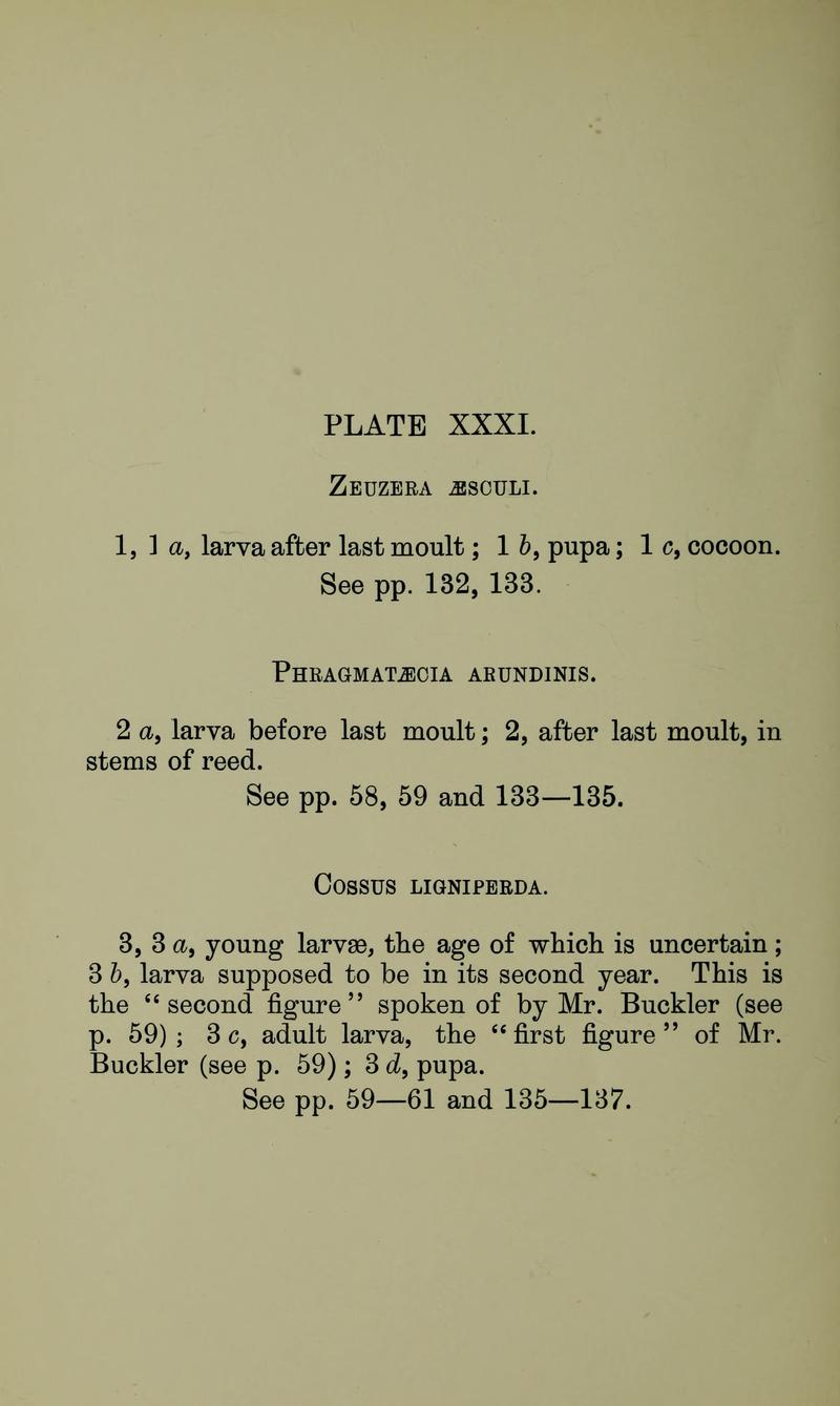 Buckler W The larvæ of the British butterflies and moths PlateXXXIText