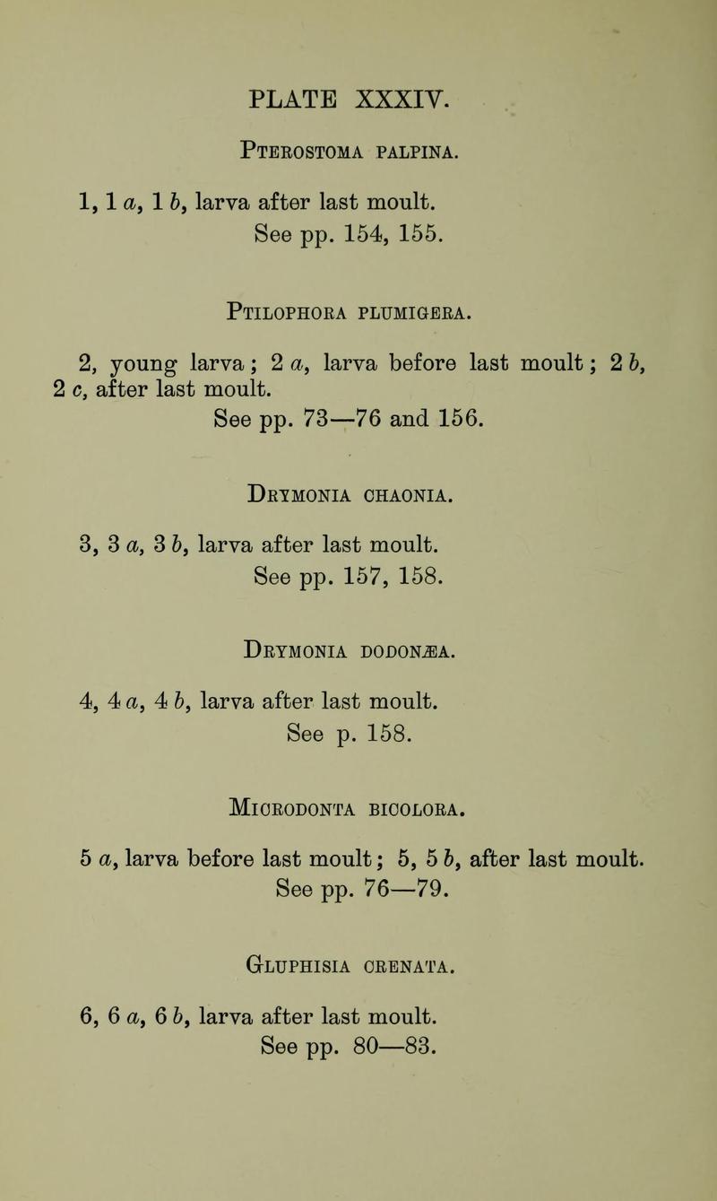 Buckler W The larvæ of the British butterflies and moths PlateXXXIVText