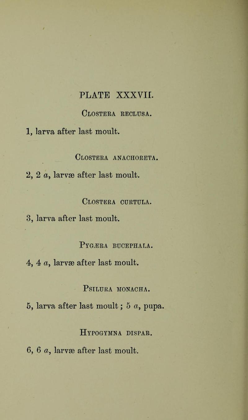 Buckler W The larvæ of the British butterflies and moths PlateXXXVIIText