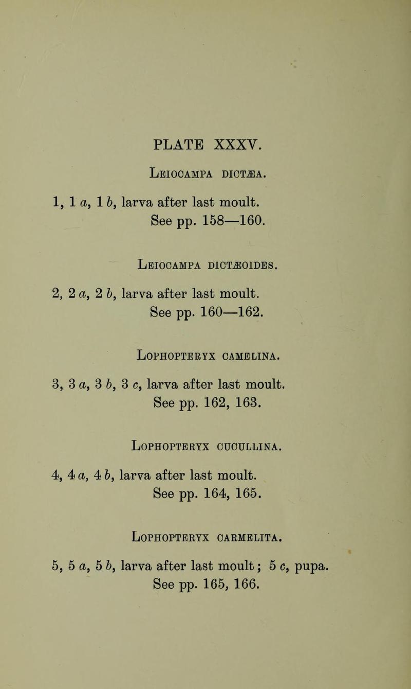 Buckler W The larvæ of the British butterflies and moths PlateXXXVText