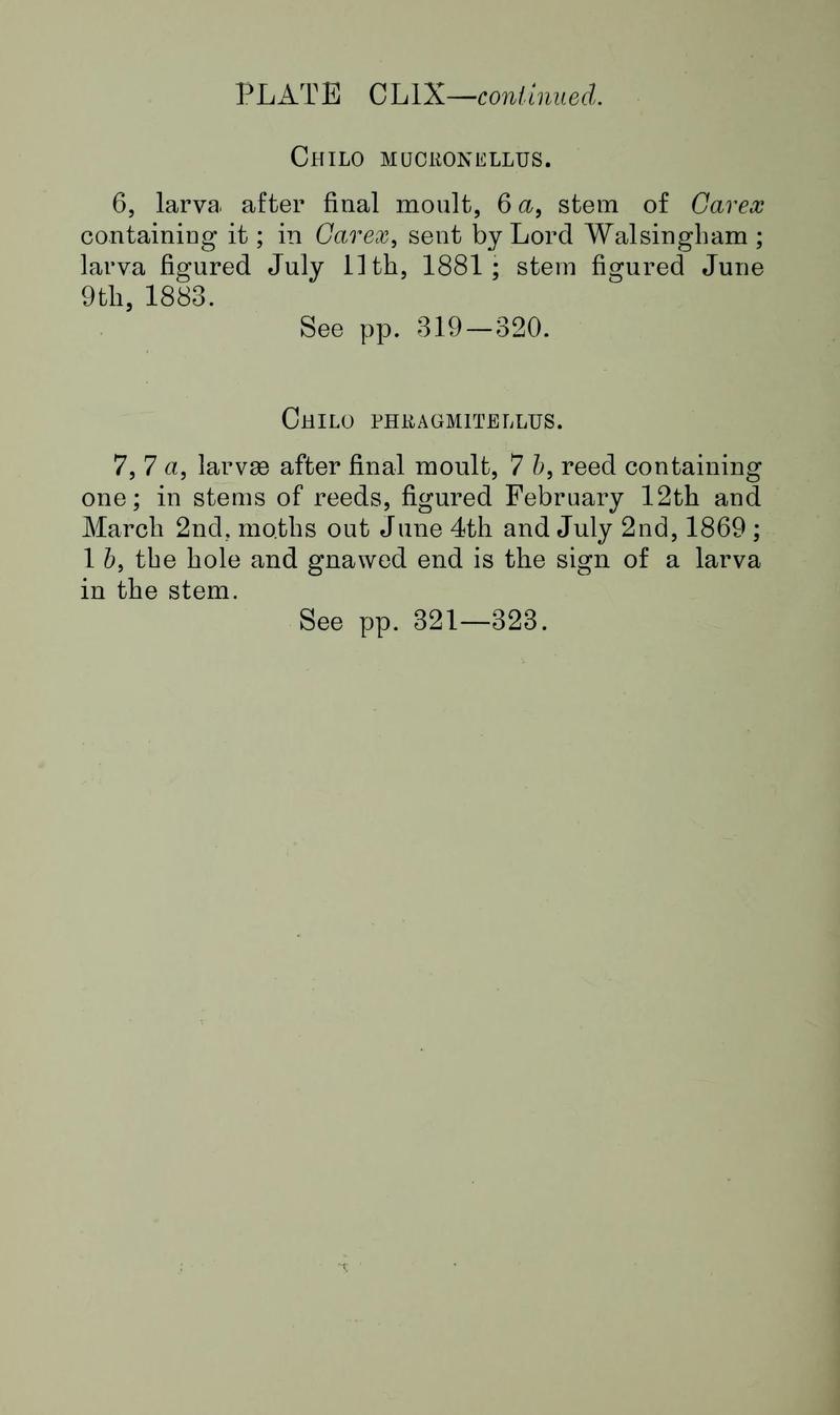 Buckler W The larvæ of the British butterflies and moths Plate CLIXText2
