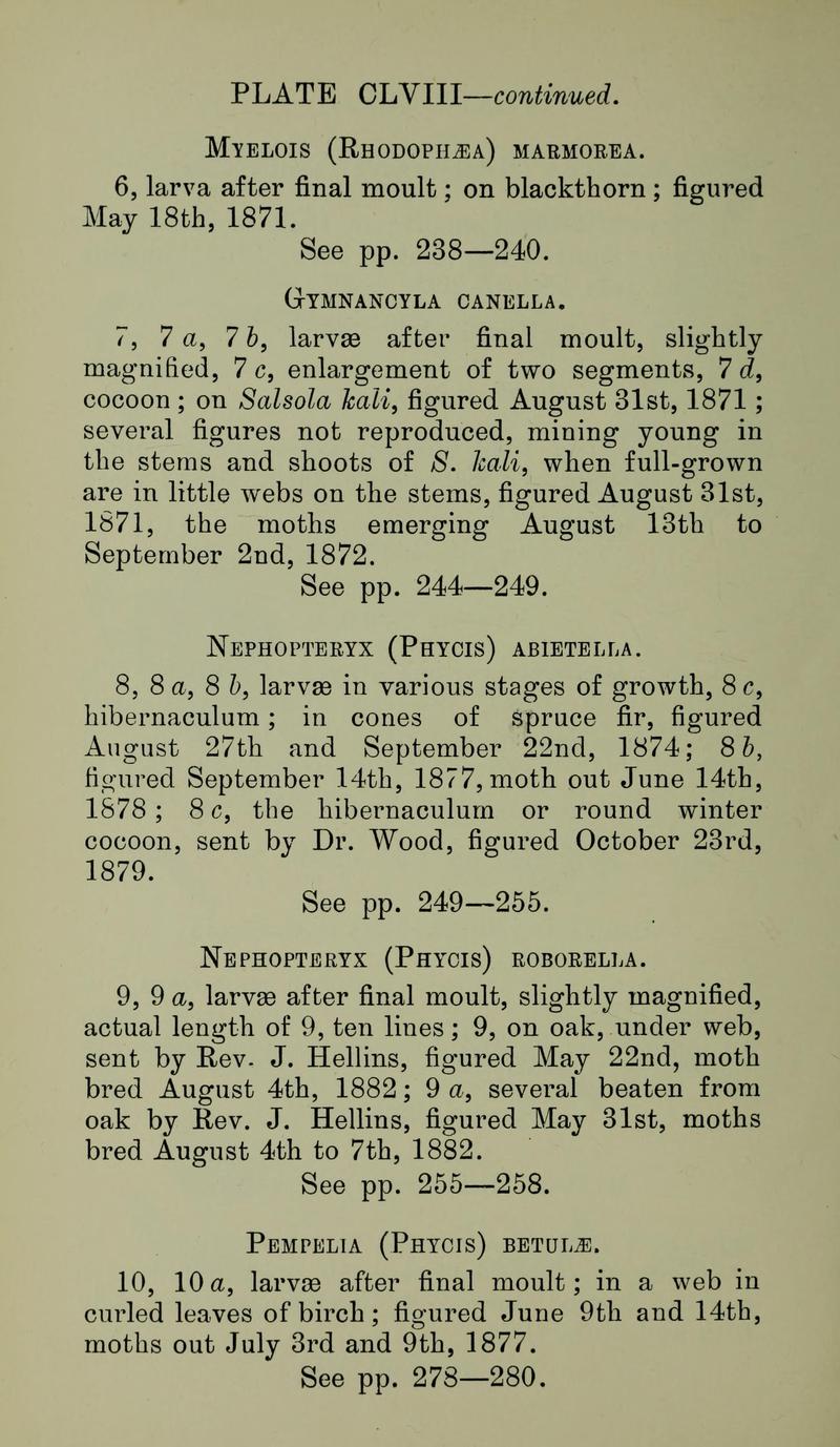 Buckler W The larvæ of the British butterflies and moths Plate CLVIIIText2