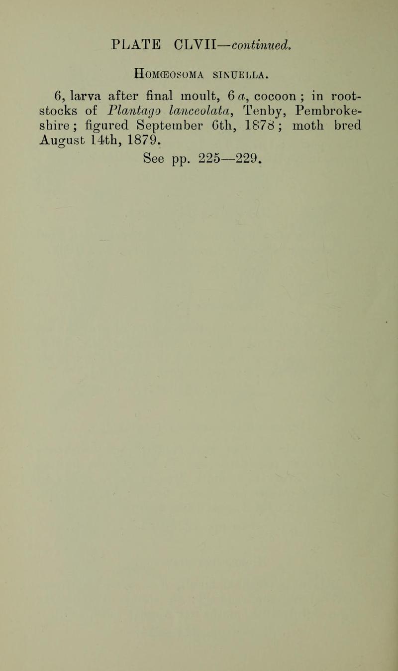 Buckler W The larvæ of the British butterflies and moths Plate CLVIIText2