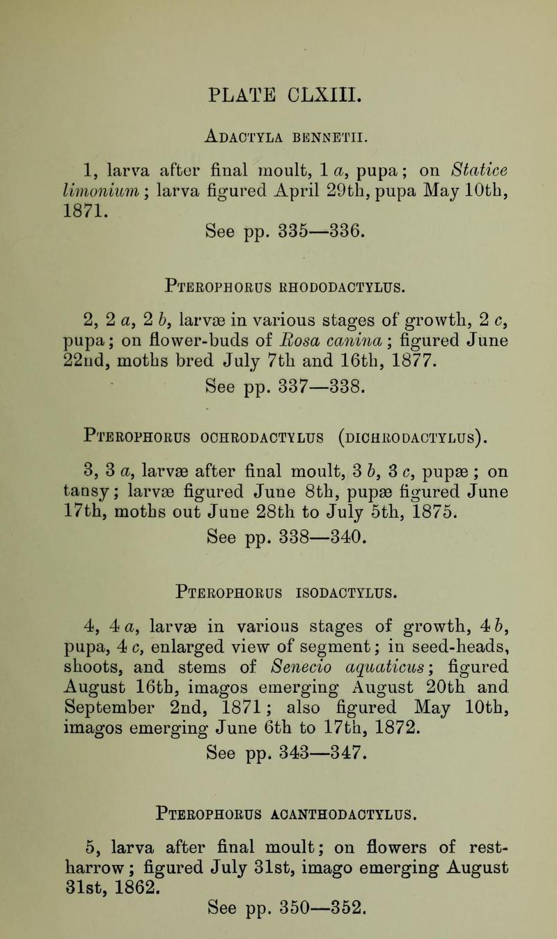 Buckler W The larvæ of the British butterflies and moths Plate CLXIIIText