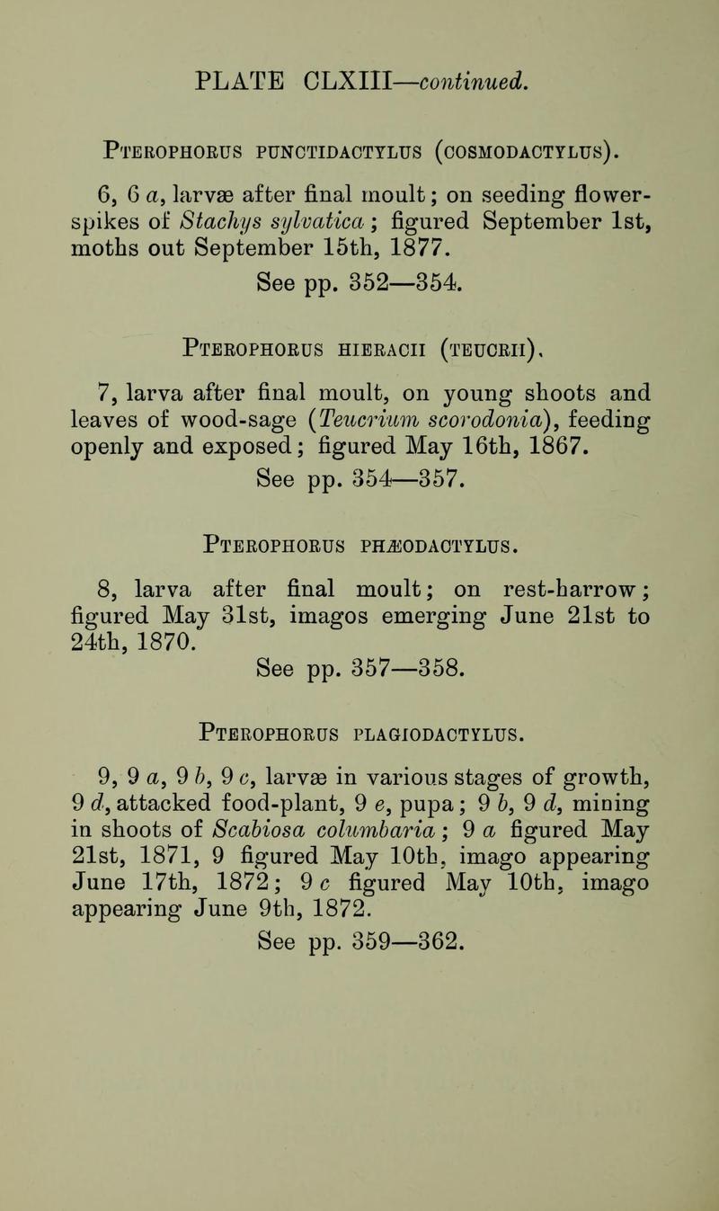 Buckler W The larvæ of the British butterflies and moths Plate CLXIIIText2