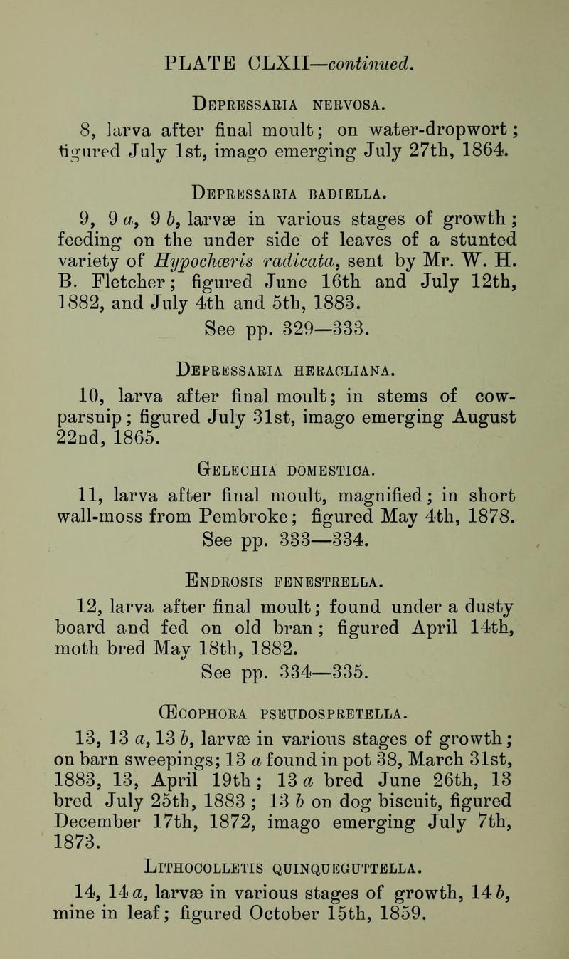 Buckler W The larvæ of the British butterflies and moths Plate CLXIIText2