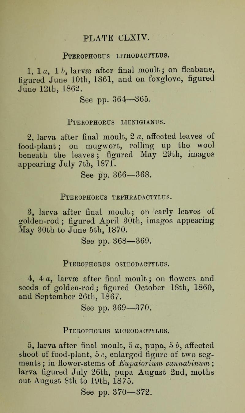 Buckler W The larvæ of the British butterflies and moths Plate CLXIVText