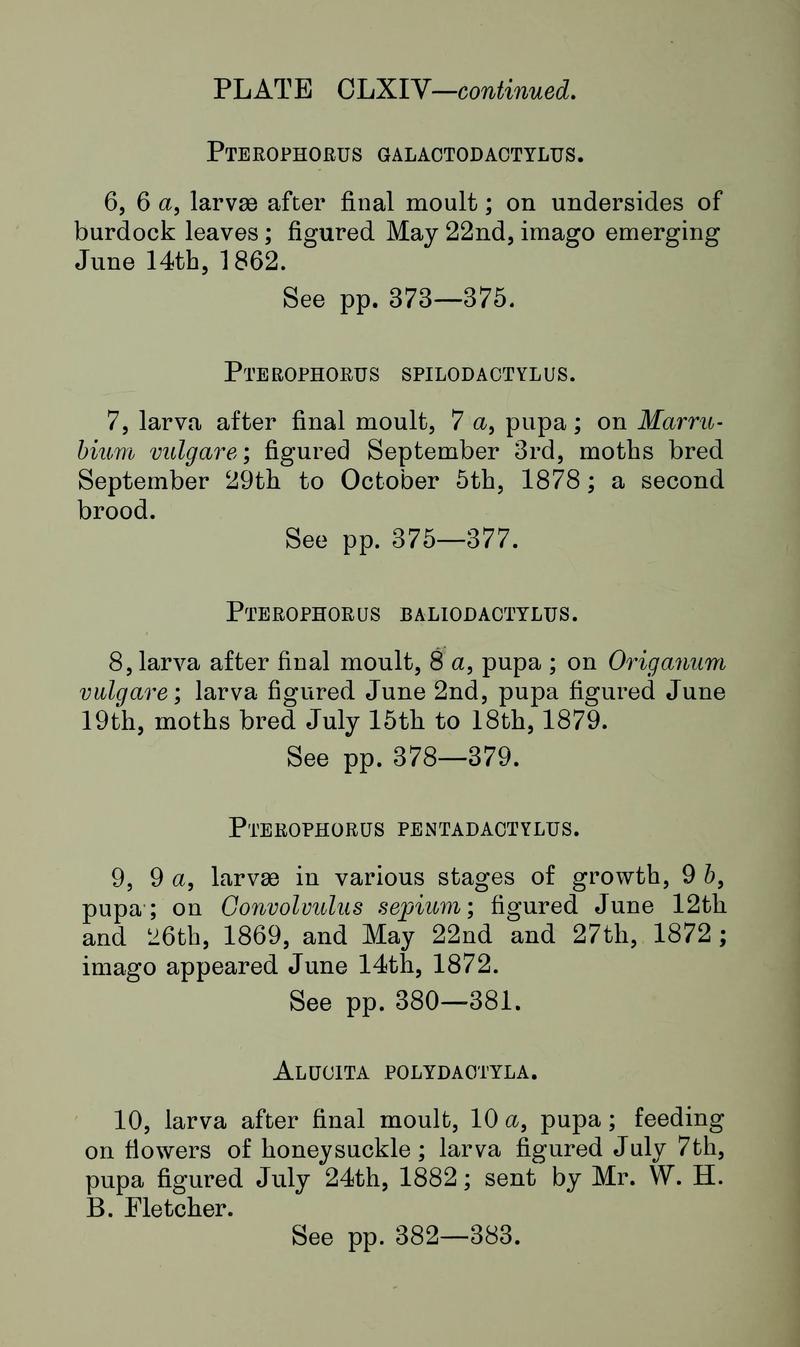 Buckler W The larvæ of the British butterflies and moths Plate CLXIVText2