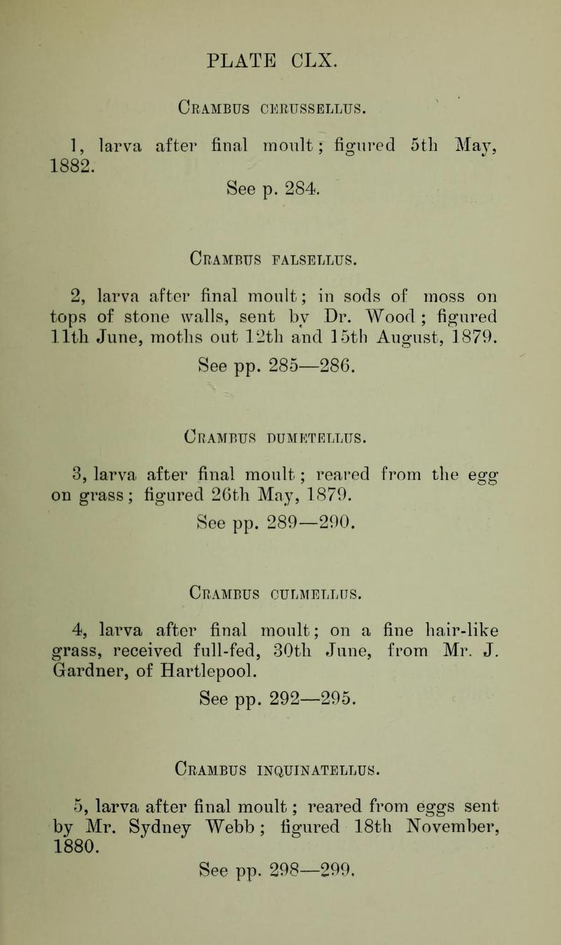 Buckler W The larvæ of the British butterflies and moths Plate CLXText