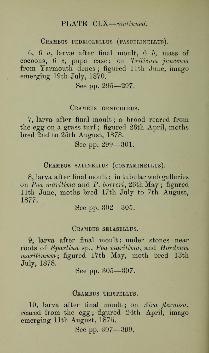 Buckler W The larvæ of the British butterflies and moths Plate CLXText2