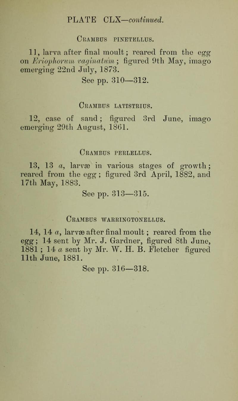 Buckler W The larvæ of the British butterflies and moths Plate CLXText3