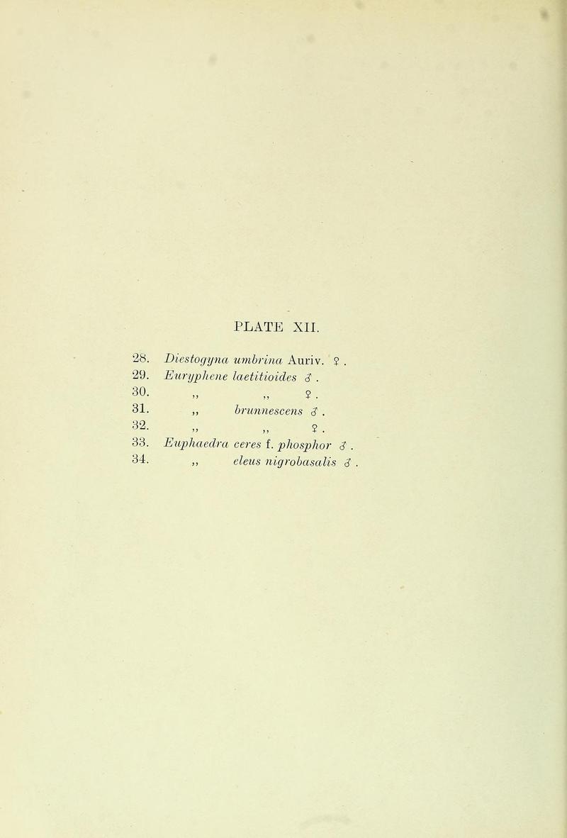 BulletinHillMuseum1921PlateXIItextjpg