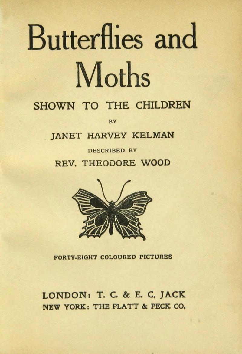 Butterflies and moths BHL42193492