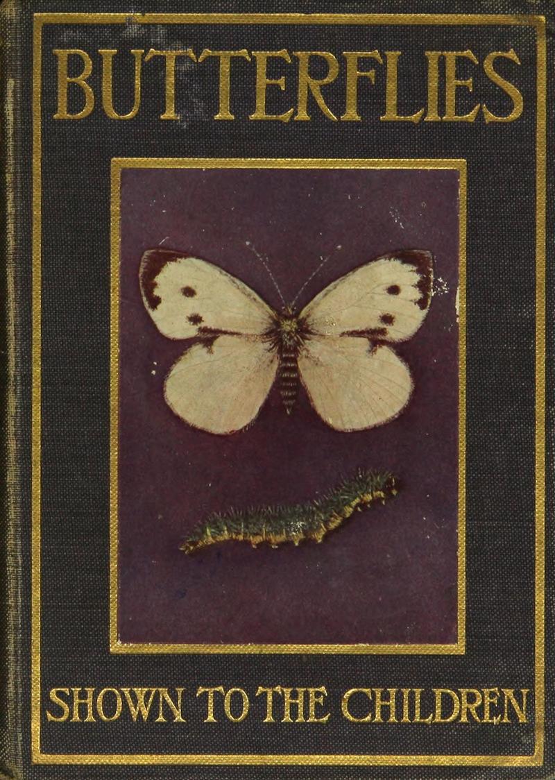 Butterflies and moths BHL42193502