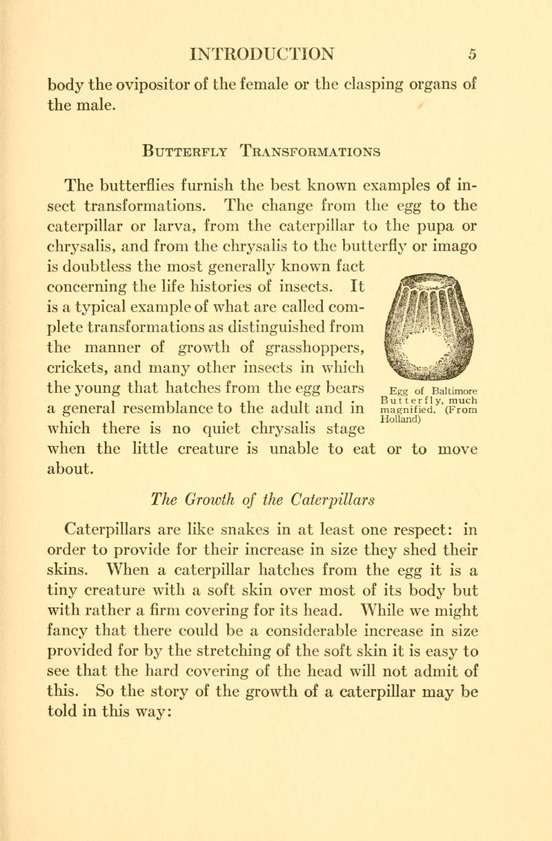 Butterflies worth knowing BHL9818780