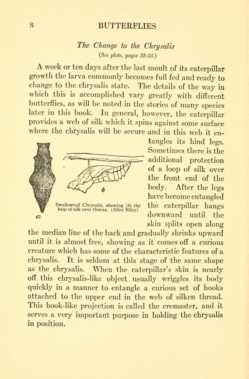Butterflies worth knowing BHL9818783