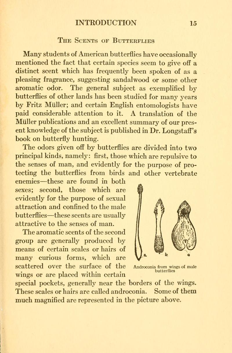 Butterflies worth knowing BHL9818790