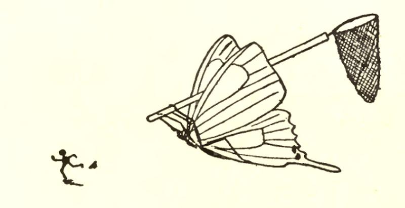 Cartoon of a butterfly catching a human