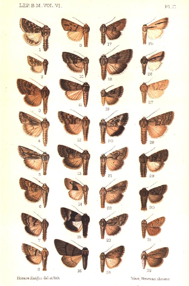 CATALOGUE-BM-PLATE C