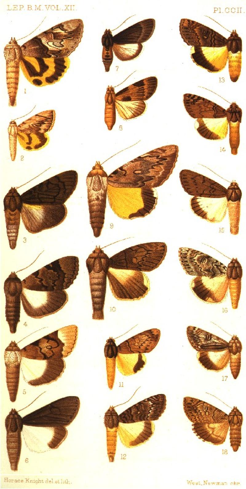 CATALOGUE-BM-PLATE CCII