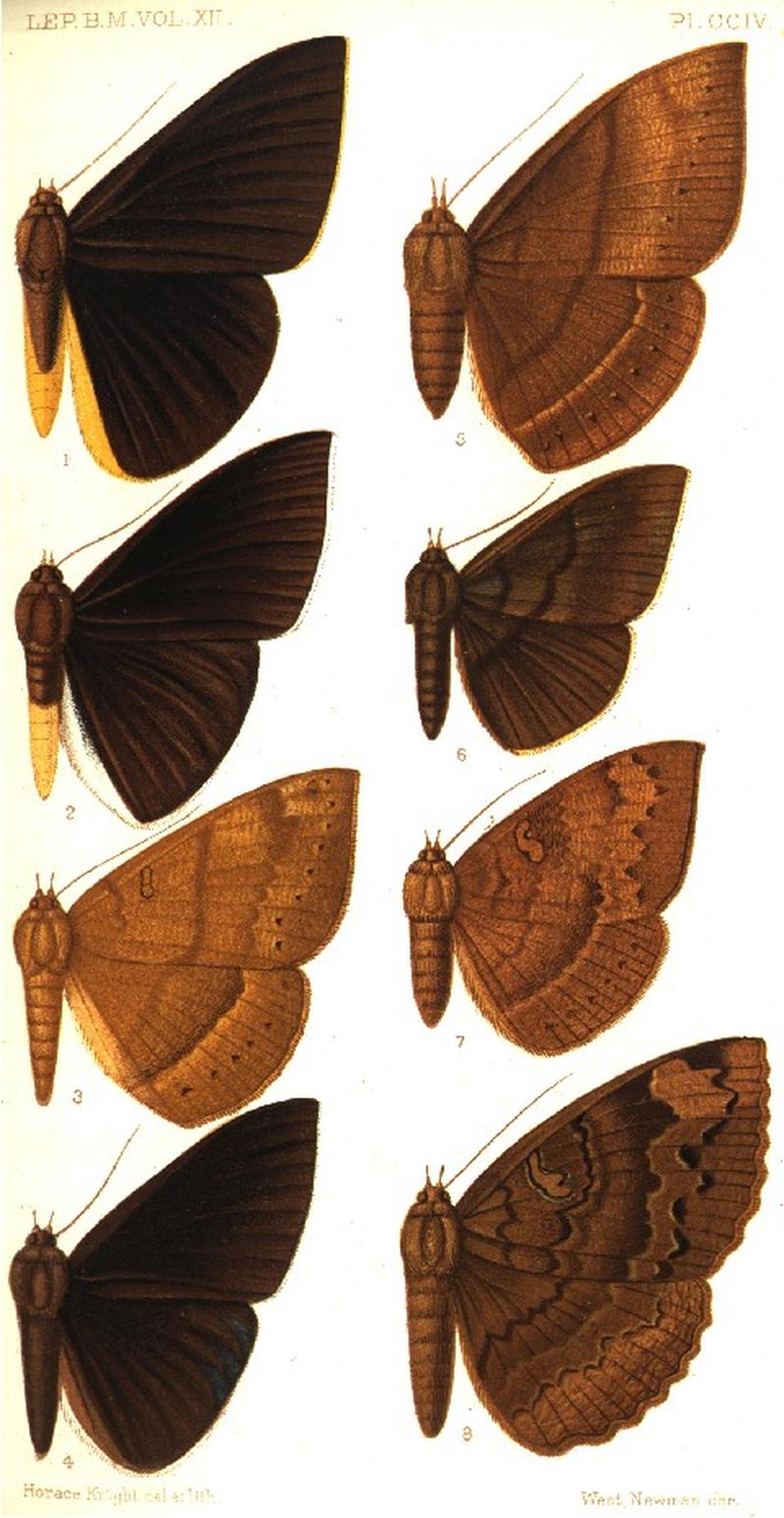 CATALOGUE-BM-PLATE CCIV