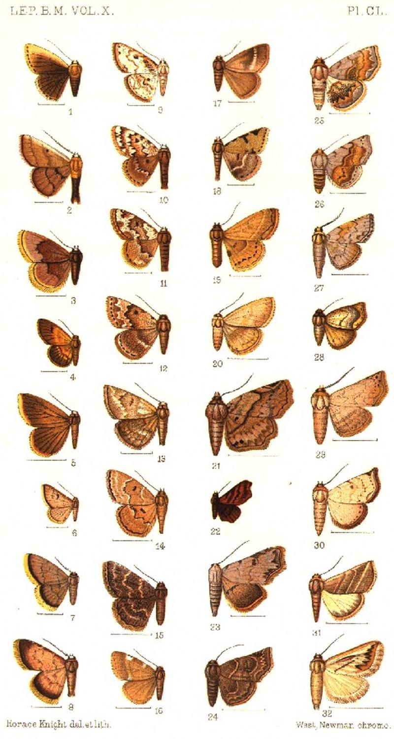 CATALOGUE-BM-PLATE CL
