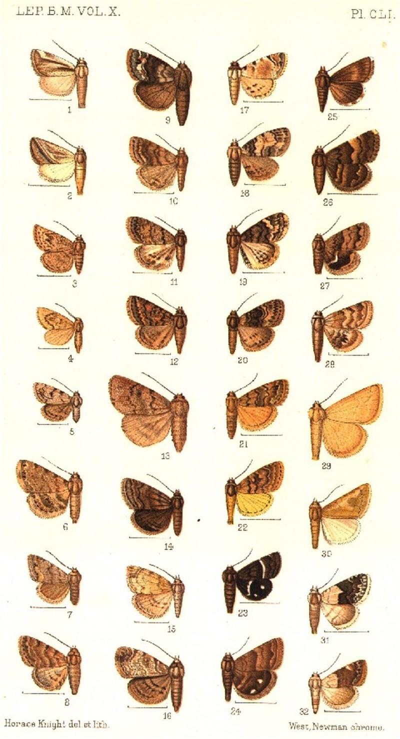 CATALOGUE-BM-PLATE CLI