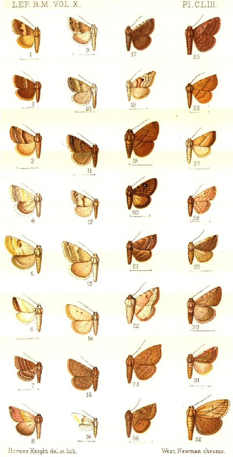 CATALOGUE-BM-PLATE CLIII