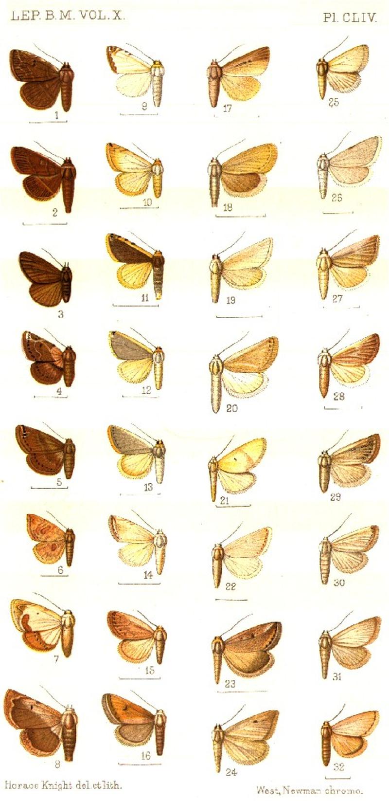 CATALOGUE-BM-PLATE CLIV