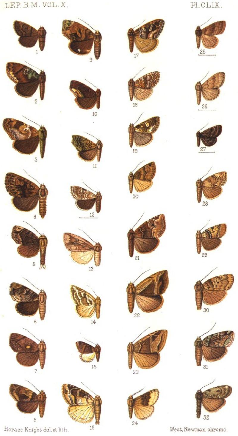 CATALOGUE-BM-PLATE CLIX