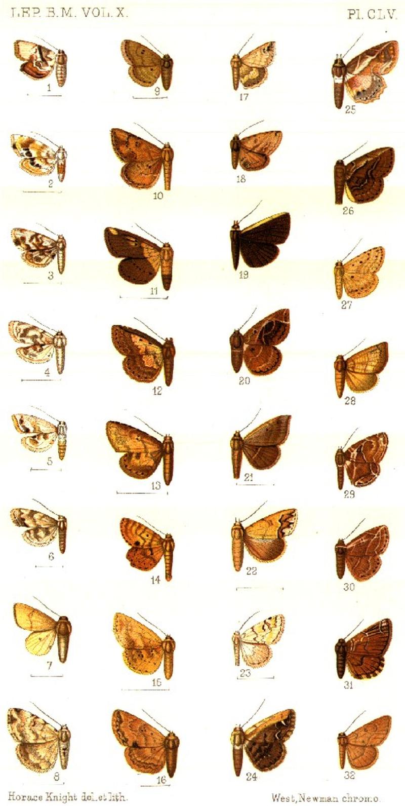 CATALOGUE-BM-PLATE CLV