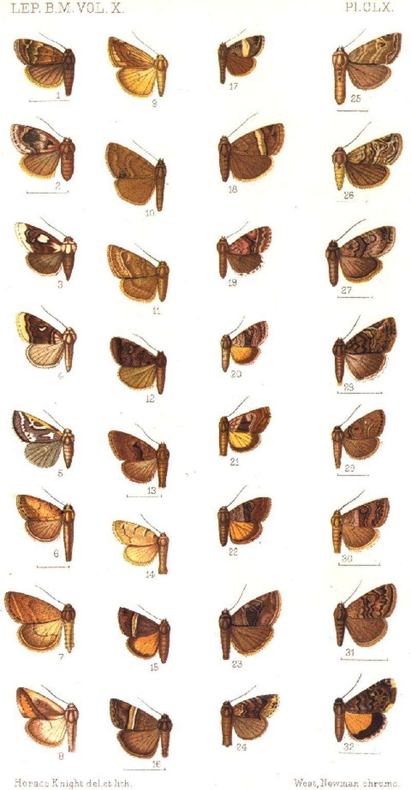 CATALOGUE-BM-PLATE CLX