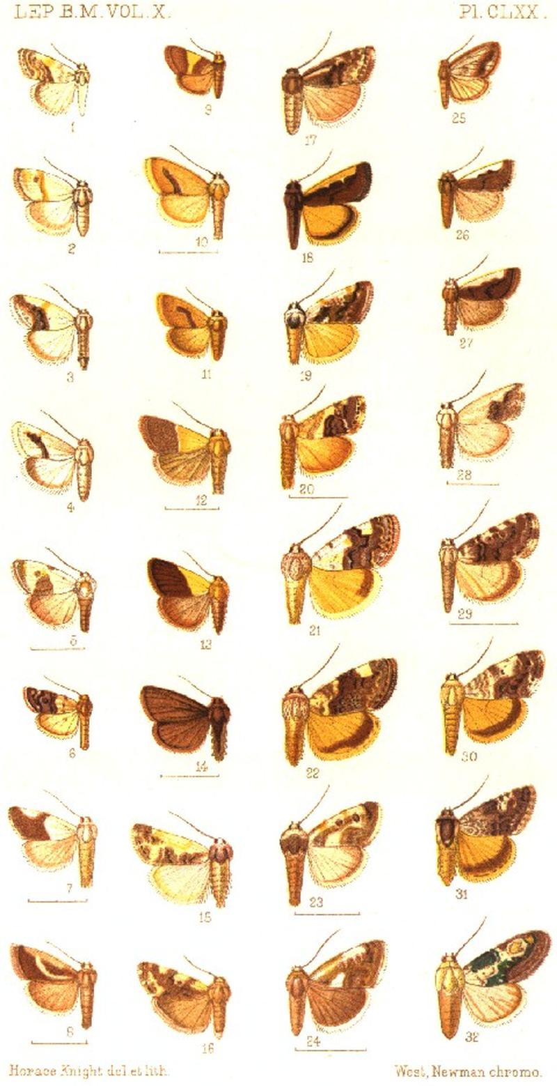 CATALOGUE-BM-PLATE CLXX