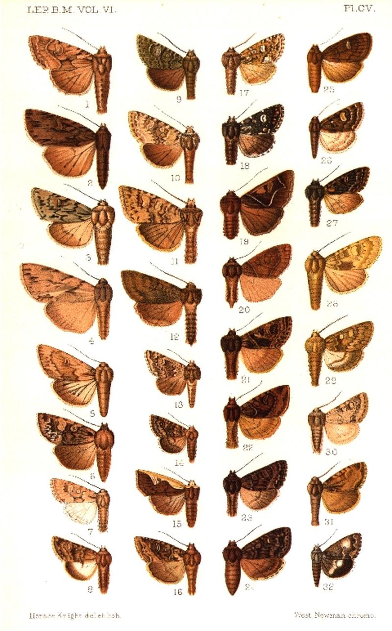 CATALOGUE-BM-PLATE CV