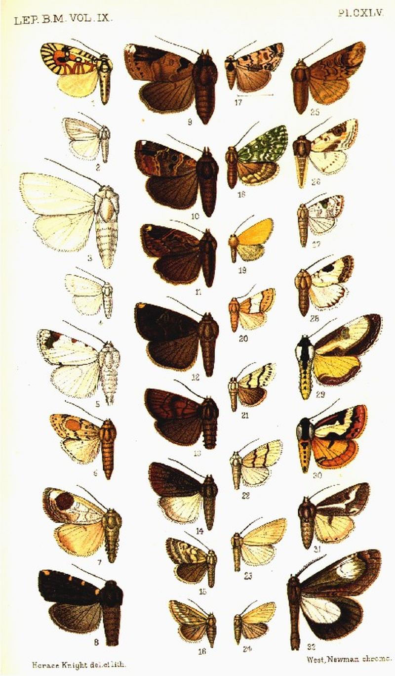 CATALOGUE-BM-PLATE CXLV