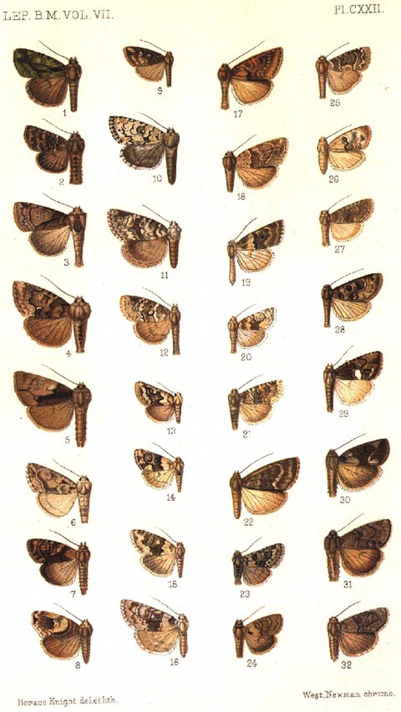 CATALOGUE-BM-PLATE CXXII