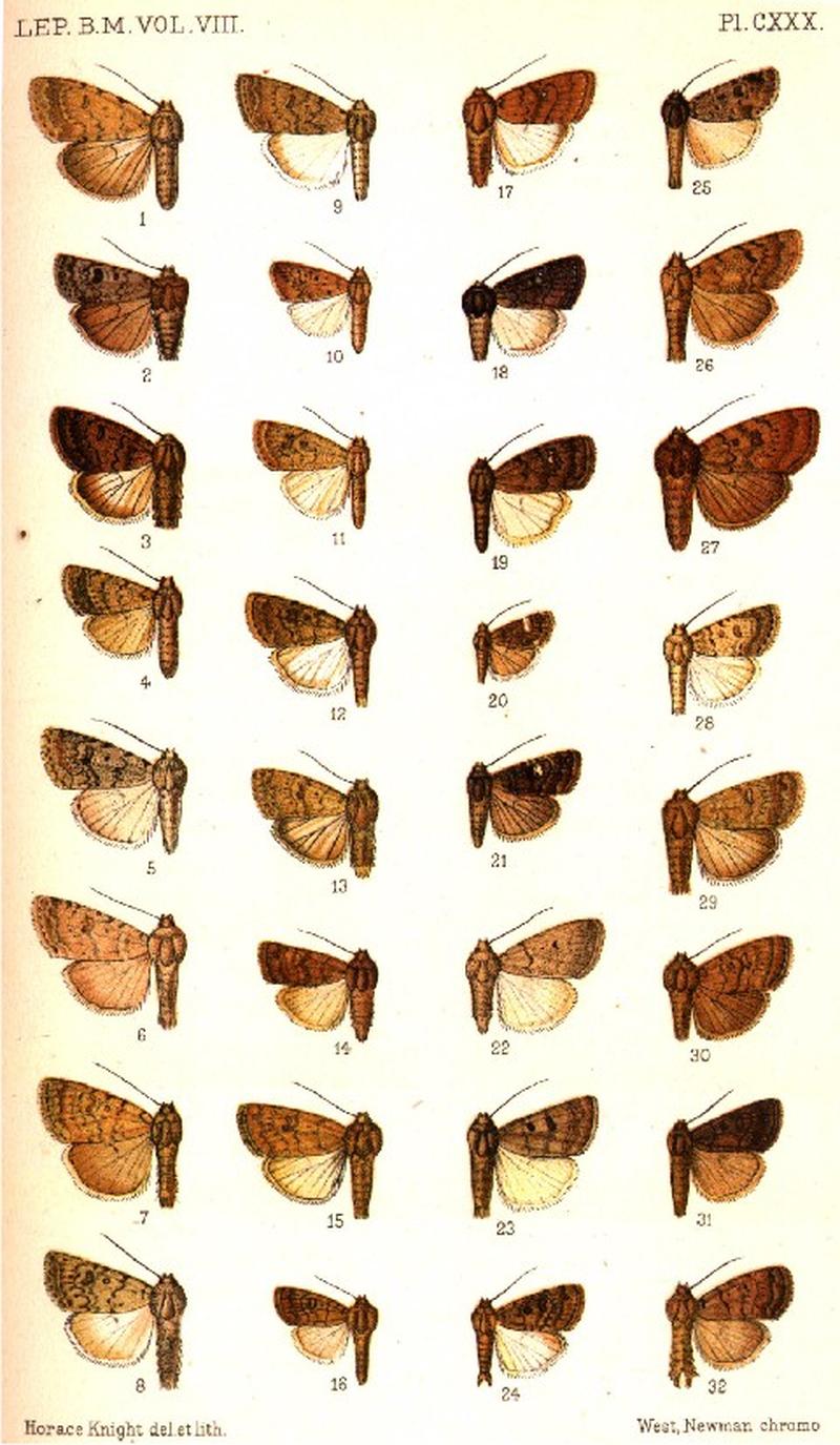 CATALOGUE-BM-PLATE CXXX