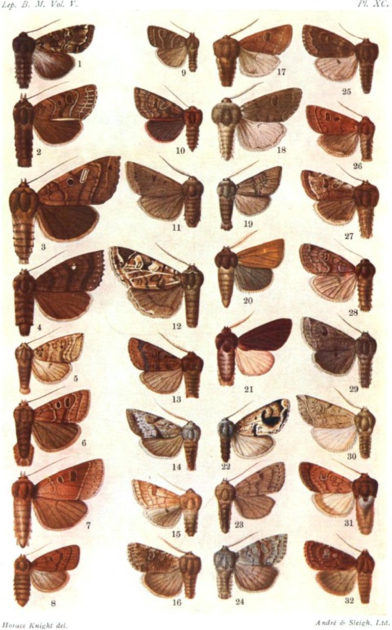 CATALOGUE-BM-PLATE XC