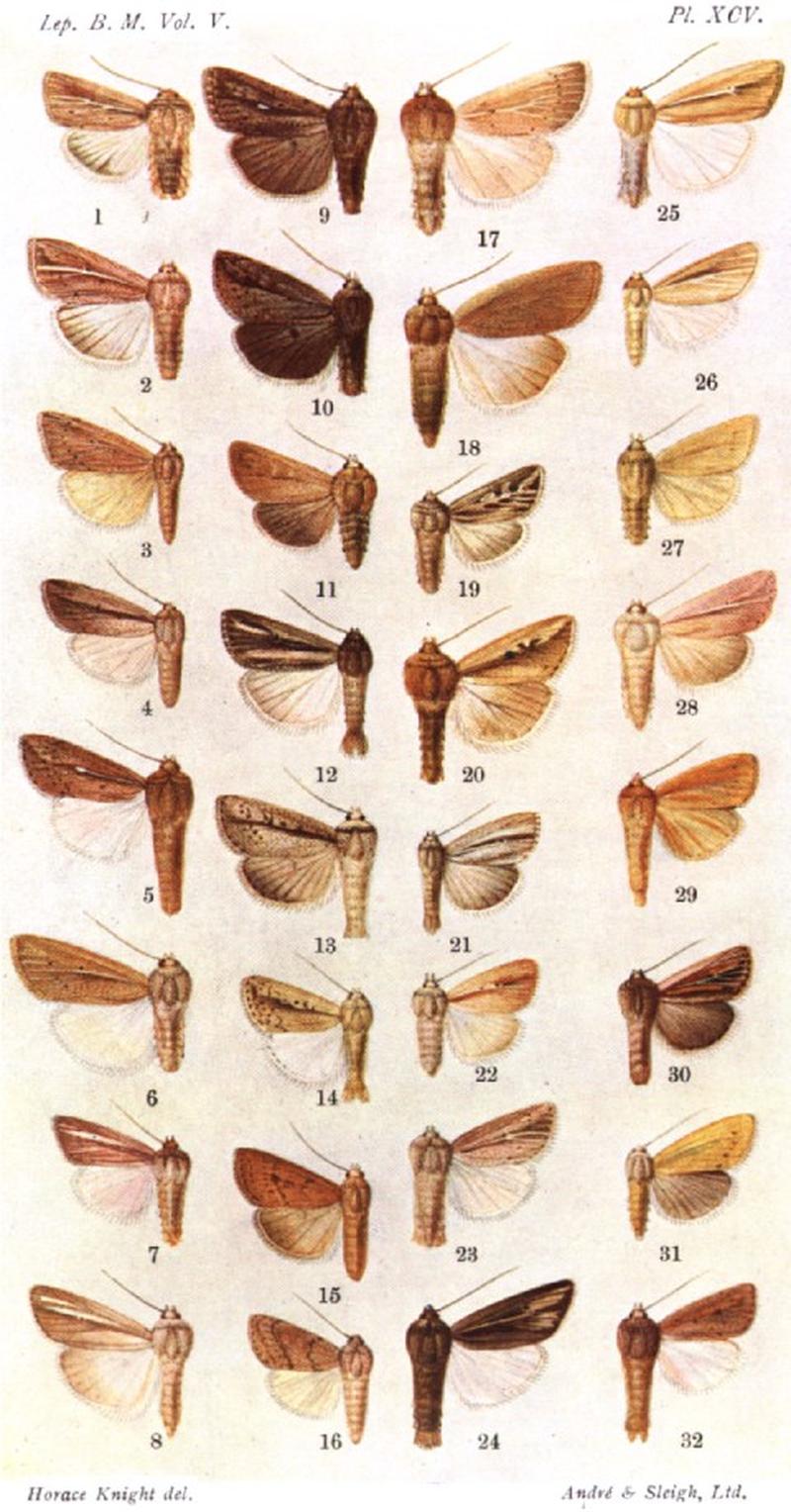 CATALOGUE-BM-PLATE XCV