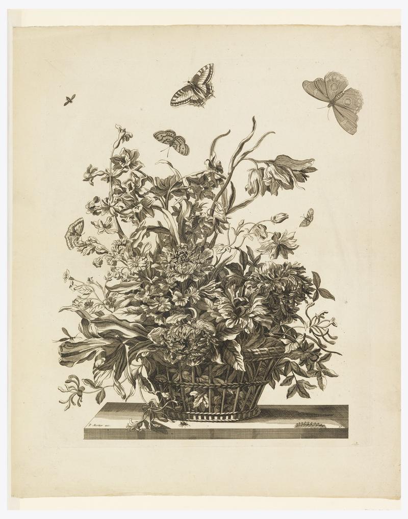 Plate 10, from set of Flowers in a Basket
