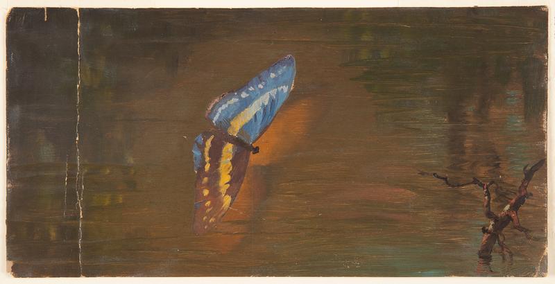 Butterfly over Water